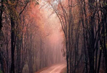 意大利联赛球队备战实力对比激烈