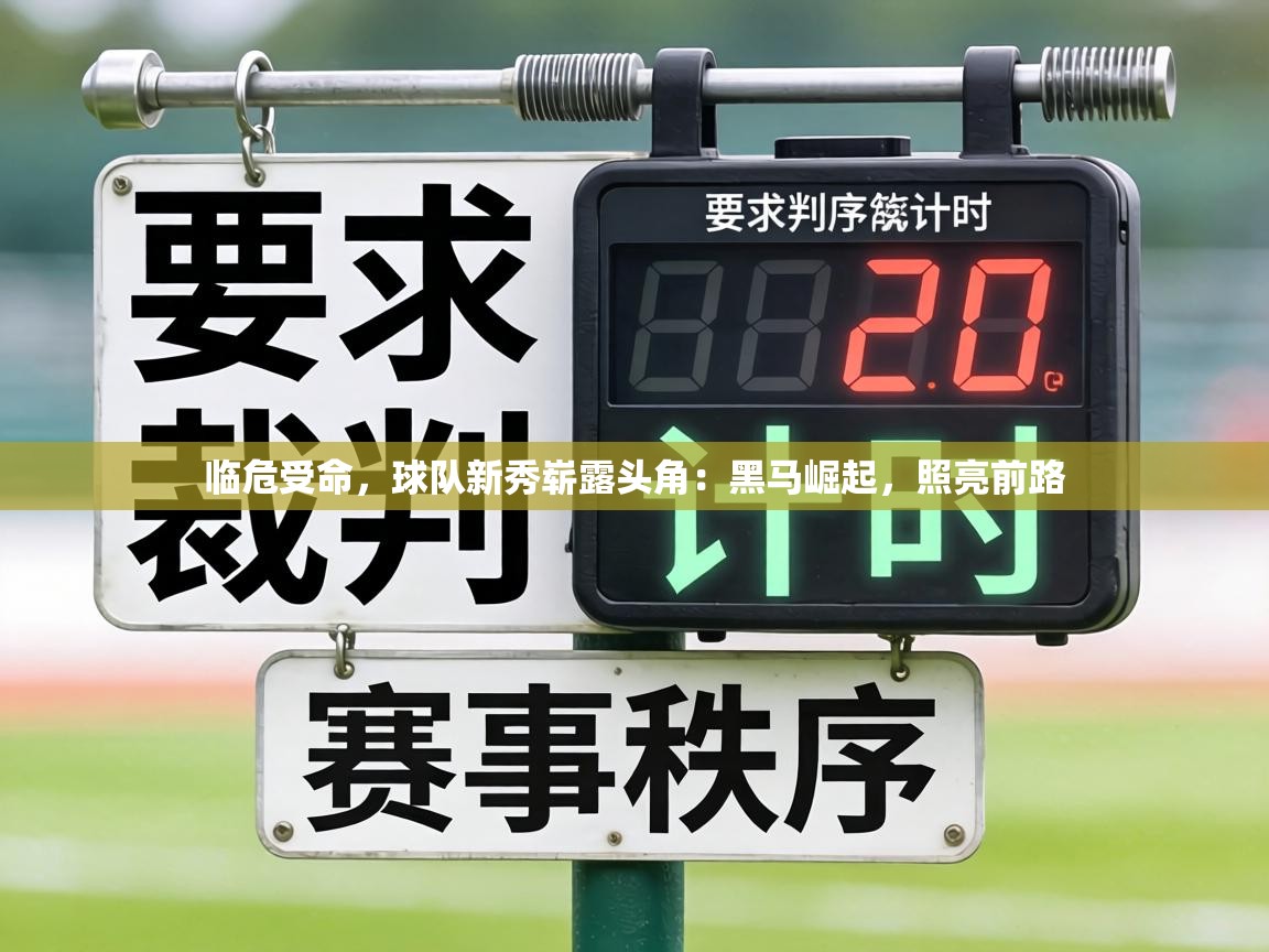 临危受命，球队新秀崭露头角：黑马崛起，照亮前路  第1张